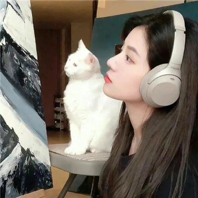 贪婪2019